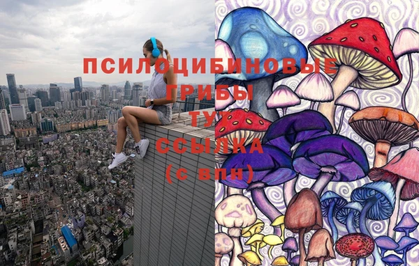 кокс Ладушкин