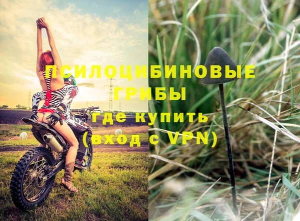 мескалин Кулебаки