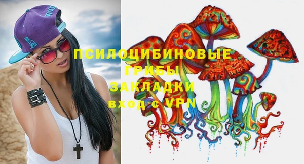 мдпв Куйбышев