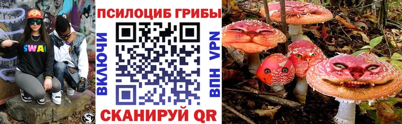 Купить где  Малоархангельск  Галлюциногенные грибы мухоморы 