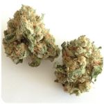 Шишки "White Widow"  (Белая вдова)  Гидропоника -  Бошка VHQ в Малоархангельске
