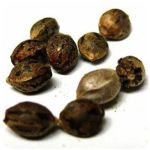 Семена марихуаны АК-47  (Seeds AK-47) в Малоархангельске